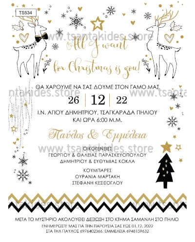 TS534-NO91K XMAS...