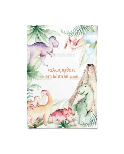 TS562 Καρτολίνο Βάπτισης -...