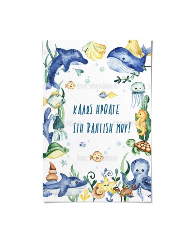 TS564 Καρτολίνο Βάπτισης -...