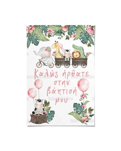 TS776 Καρτολίνο Βάπτισης -...