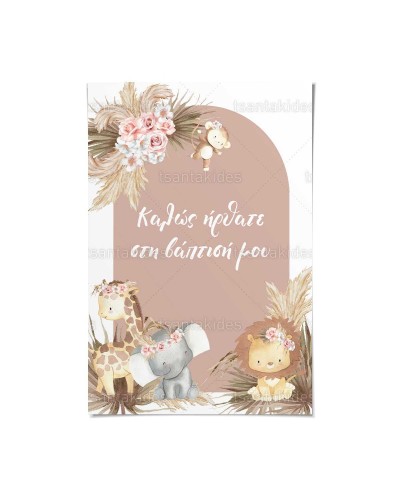 TS576 Καρτολίνο Βάπτισης -...
